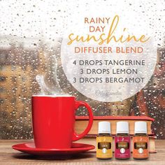 Rainy Day Diffuser Blends, Zoom Video, Living Brand, Yl Essential Oils