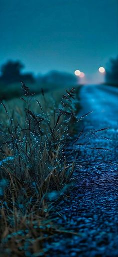 the road is wet and it looks to be raining at night or early in the morning