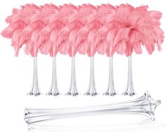 pink ostrich feathers are lined up next to each other