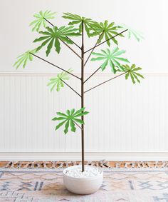 a potted plant sitting on top of a rug in front of a white wall