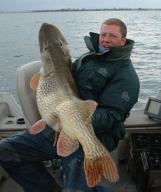 a man holding a large fish in his hands