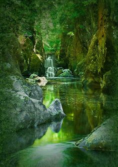 a stream running through a lush green forest filled with lots of rocks and water flowing down the side of it