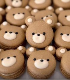 there are many cookies with teddy bears on them in the shape of bear's heads