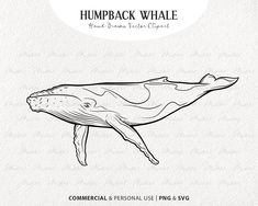 the humpback whale is shown in black and white, with an oval background