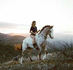 a woman riding on the back of a white horse next to a brown and black dog