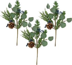 three branches with pine cones and berries on them