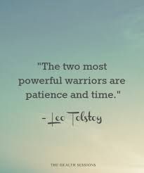 the two most powerful warriors are patience and time - le teskey quote on blue sky background