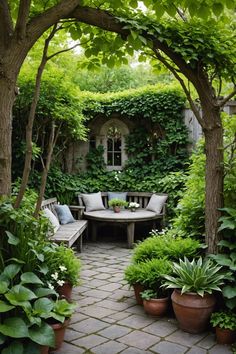 an outdoor patio with potted plants and benches in the foreground, surrounded by greenery