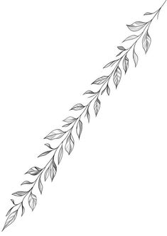 a branch with leaves is shown in this black and white drawing, it looks like the branches