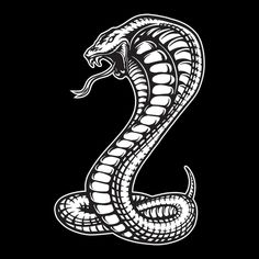 a black and white snake with the letter z on it's head, sitting in front of a black background