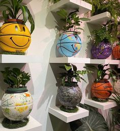 several plant pots with plants in them are on the shelves and have smiley faces painted on them