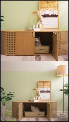 two pictures of a cat sitting in a box on top of a shelf next to a potted plant