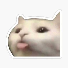 a white cat sticking its tongue out sticker