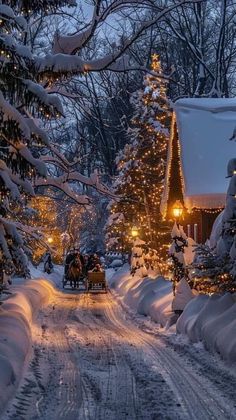 people riding in a horse drawn carriage down a snow covered road with christmas lights on the trees