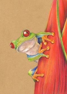 Art Frog, Colored Pencil Art, Illustrative Art, Art Of Nature, Drawings Tutorials, Prismacolor Art, Pencil Drawing Tutorials