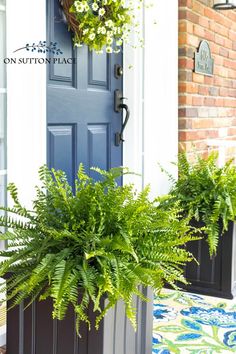 a blue front door with two planters on it