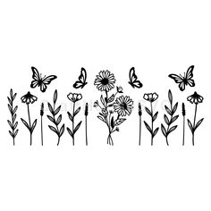 black and white butterflies flying over flowers