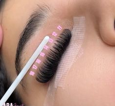 Doll Lash Extensions Styles, C Curl Lash Map, Mega Volume Lash Map, Lash Extensions For Almond Eyes, Volume Lash Map, Hybrid Lash Extensions Styles, Lash Mapping Eyelash Extensions, Lash Maps, Lash Map