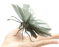 a person's hand holding a paper insect