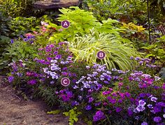 a garden filled with lots of purple and green flowers