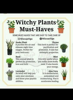 a poster with different types of plants in pots and the words witch plants must - haves