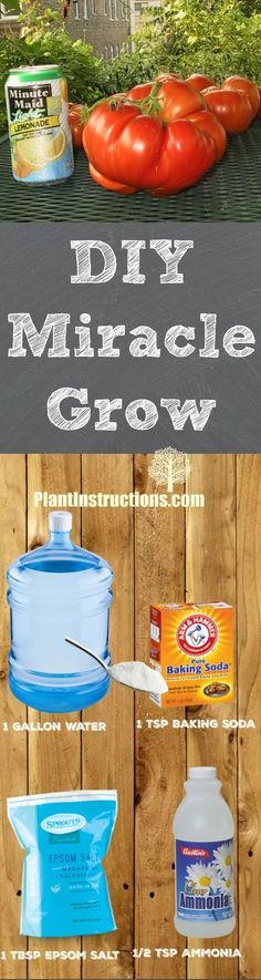 the diy miracle grow recipe is shown with tomatoes and other things to make it easier for