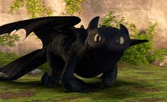 a black dragon is standing in the grass with its wings spread out and eyes wide open