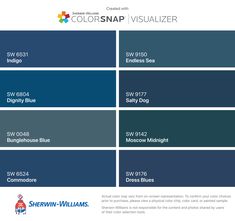 the color scheme for colorsnap visualizer is shown in blue and gray, with different