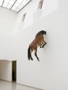 a horse that is standing on its hind legs in the air over a white wall