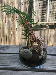 a small giraffe is in a glass vase with rocks and a palm tree