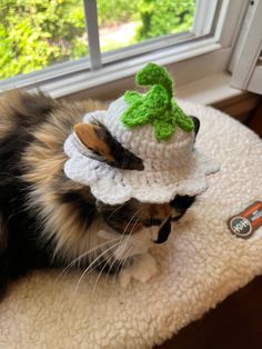 a cat wearing a crocheted hat with a green leaf on it's brim