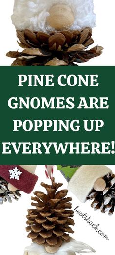 pine cone gnomes are popping up everywhere with text overlay that reads, pine cone gnomes are popping up everywhere