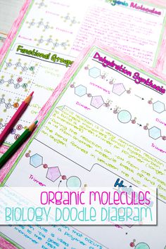 three notebooks and two pencils sitting on top of each other with the words organic molecules biology doodle diagram