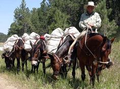 a man riding on the back of a brown horse next to a pack of bags