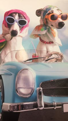 two dogs are riding in the back of a blue car with sunglasses on their heads