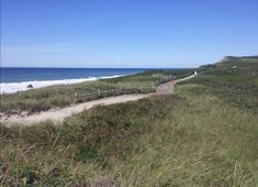 a path leading to the beach with grass and bushes on both sides that lead into the ocean