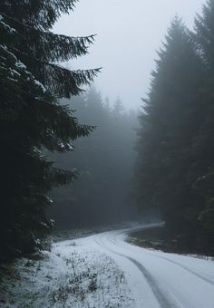 a snowy road surrounded by trees in the middle of winter with snow on the ground