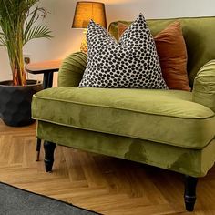 a green couch sitting on top of a hard wood floor next to a potted plant