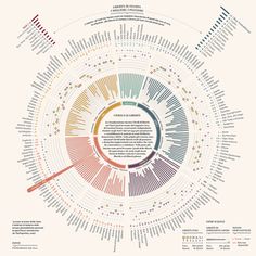 a circular diagram with different colored lines and numbers on the bottom, in various colors