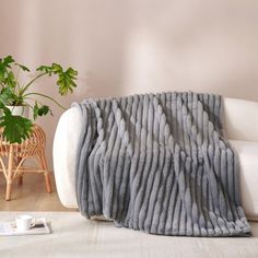 a white couch sitting next to a plant on top of a hard wood floor covered in a gray blanket