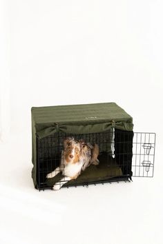 a small dog in a cage on top of a white surface with the door open