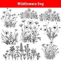 wildflowers svg set