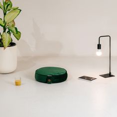 a potted plant sitting on top of a table next to a lamp and other items