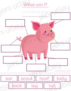 a pink pig is shown with words and pictures to describe the parts of its body