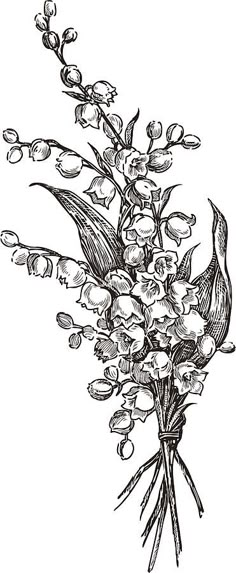 Lily Tattoo Design, 16 Tattoo, Lilies Of The Valley, Lily Of The Valley Flowers, Drawing Tattoo, Botanical Tattoo, Plant Drawing, Trendy Flowers