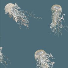 two jellyfishs are swimming in the water