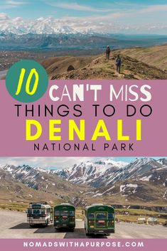 the top ten things to do in denali national park with text overlaying it