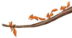 an orange squirrel family sitting on a tree branch with their tails curled in the wind