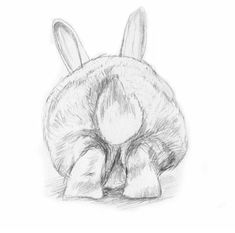 a pencil drawing of a bunny sitting on top of it's back legs and head