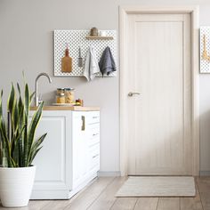 a white kitchen with a potted plant next to the door and shelves on the wall